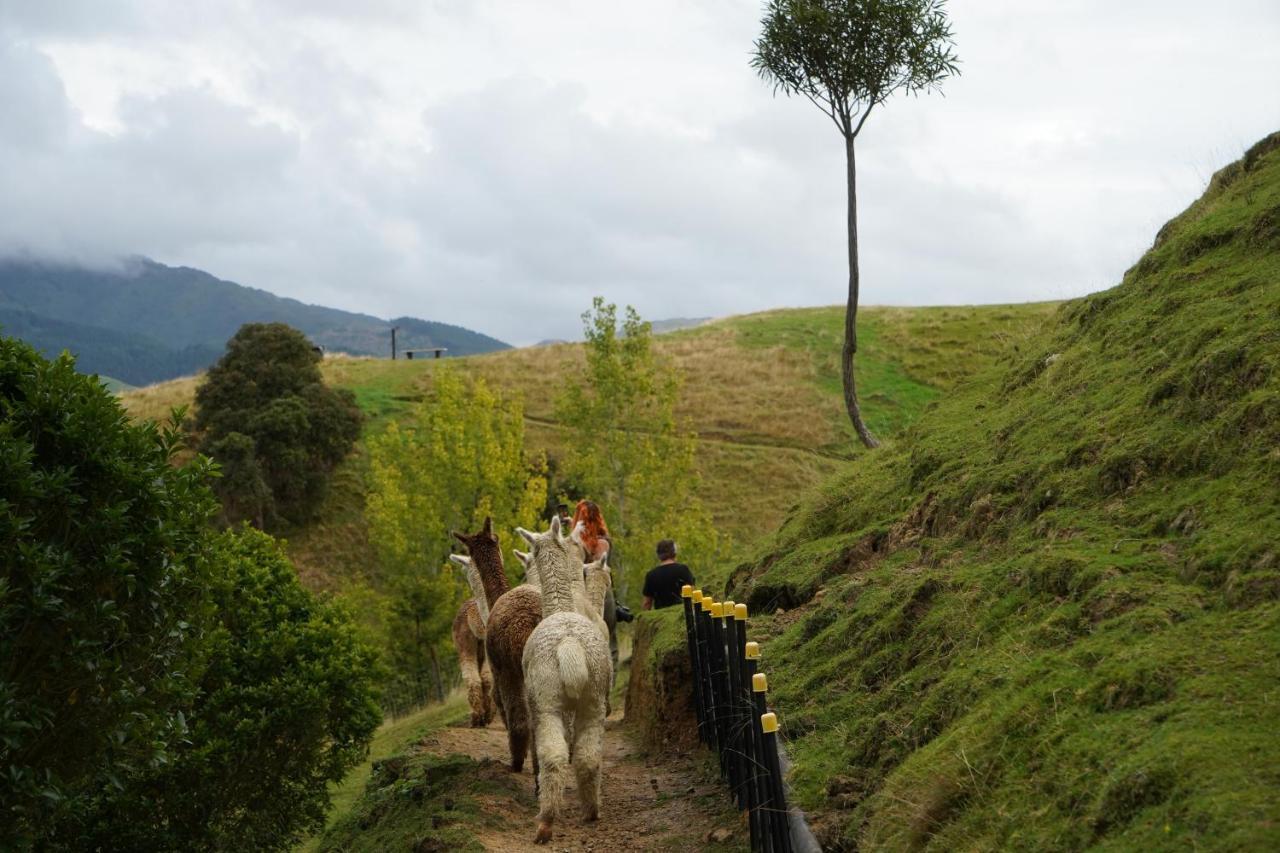 Luxury Stay, Alpaca Farm Paraparaumu Exterior photo