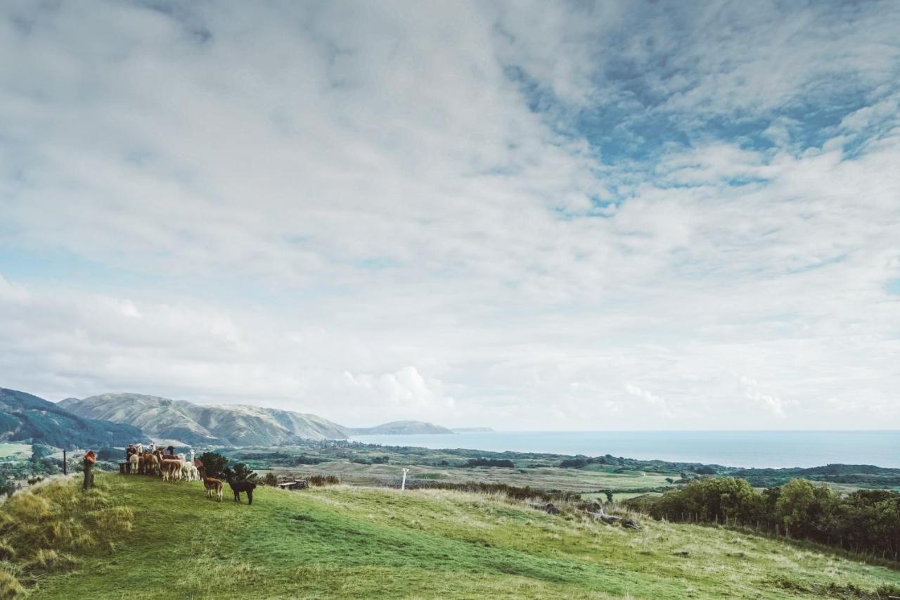 Luxury Stay, Alpaca Farm Paraparaumu Exterior photo